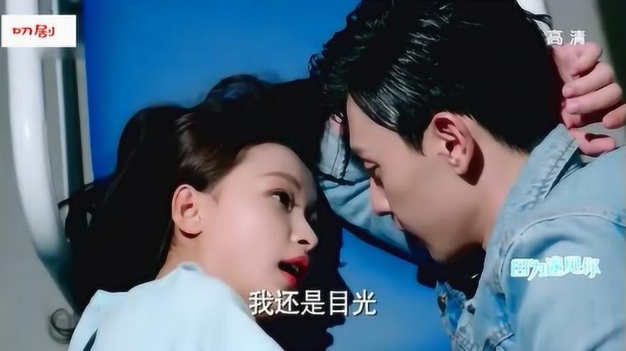 小仓鼠吃瓜子